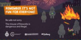 Firebreak and fireworks: Communities urged to stay safe while continuing to adhere to coronavirus restrictions C20 0135 Fireworks social media 300x169 1