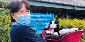 £3.6 million National Lottery funding brings comfort to communities across Wales Cariad Pet Therapy 1