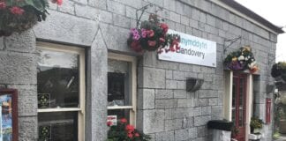 TrC yn croesawu etholiad Lisa Denison i fwrdd y Community Rail Network IMG 2646 scaled