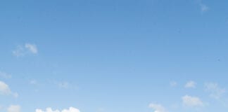 Strategaeth aml-darged yn lleihau ôl troed carbon ac yn sicrhau’r elw mwyaf Jeff a Sarah Wheeler scaled