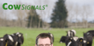 Cyfle i ddysgu sut i gynyddu cynnyrch llaeth yn ystod gweminar dan arweiniad arbenigwr ar ymddygiad gwartheg Joep Driessen