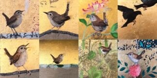 Oriel y Parc yn dathlu bioamrywiaeth gyda #1000 o gardiau post LA1