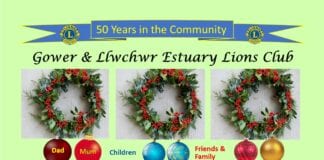 Gower & Llwchwr Estuary Lions are celebrating 50 years of helping the community Tree of Light Poster BURRY PORT A4 jpg