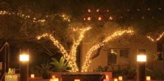 WINTER GARDEN WONDERLAND: NICEIC ADVISES ON LIGHTING UP THE LONG LOCKDOWN NIGHTS Winter garden wonderland scaled