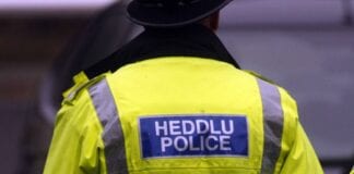 Police appeal following incident outside Bryn Primary School, Llanelli police back 1