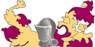 Coronavirus & Council Business Arrangements 131965554 1309703139387440 8411844510275922010 o