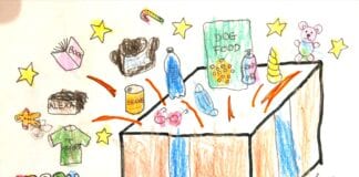 TWO LOCAL GIRLS CELEBRATE SUCCESS IN FESTIVE CARD COMPETITION Aleca Entry