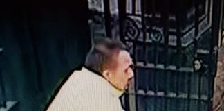 CCTV Appeal: Dog bite, Carmarthen Skate Park CCTV image Carmarthen Skate Park dog bite