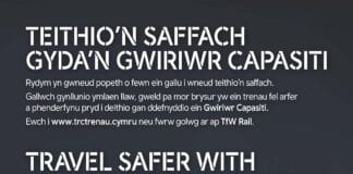 Annog cwsmeriaid i gynllunio ymlaen llaw ar gyfer teithio ym mis Rhagfyr Capacity checker 1 scaled