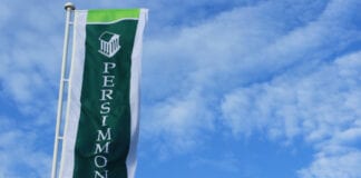 New hope for first-time buyers in Wales Perismmon Flag Blue Sky Best 3