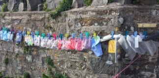 Diane’s Facemask Fundraiser for Charities dianejones2