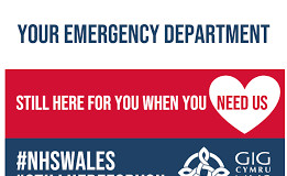 Help Us to Help You when Admitted as an Emergency download 6
