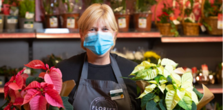 NOT SIMPLY RED! MORRISONS LAUNCHES STRIKING NEW VARIETIES OF POINSETTIAS AHEAD OF CHRISTMAS image001 7