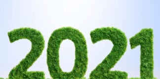 Brits vow to adopt green resolutions this year in an effort to save the planet newseventsimage 1609240979115 mainnews2012 x1