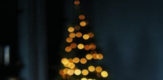 Gift Ideas for the Person Who Has Everything olena sergienko iVnKChvQJZA unsplash