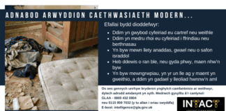 Adnabod Arwyddion Caethwasiaeth Modern… 135510891 3551149591586987 6486648949604962230 n