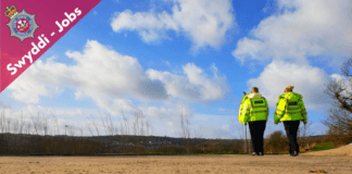 JOBS | Join #TeamDPP! 143508669 3615085091860103 1512820360946906883 o