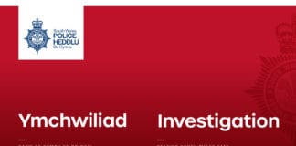 Dog thefts 143846365 3384120415030816 2400373809343309181 o