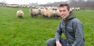 Cynnal y traddodiad ffermio teuluol, gyda help llaw gan raglen Cyswllt Ffermio Gwion Jenkins scaled