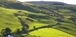 Researchers show Irish soil can offer more hope in fight against antibiotic resistance Northern Ireland countryside EDIT