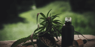 What Is The Entourage Effect And What Is Its Relation To CBD? cbd anxiety 3