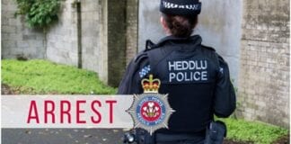 Arrest as up to 80 suspected stolen dogs are found by police safe image 1