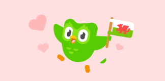 DUOLINGO PARTNERS WITH CYMRAEG 2050 welshvalentine pinkfix vcr