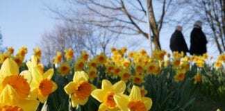 Thank You 151090276 5059251424115905 5793579815018752726 o 1