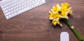 Celebrate St David’s Day from home 27 Feb 4