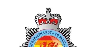 LGBT+ History Month – Diversity within Team SWP DnYkVO3S 400x400