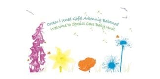 Cyfleusterau newydd ar gyfer babanod gofal arbennig ar y gorwel F6894525 55CF 4939 9F4058E0B96565DF carouselimage