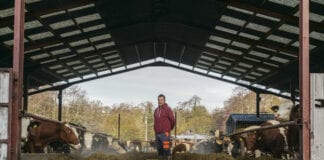 “Rydym yn gwneud defnydd llawer gwell o’n holl adnoddau!” Jonathan Scott scaled