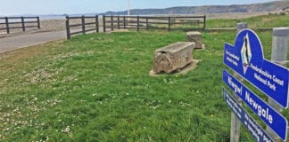 Talu di-arian yn dod yn fuan i feysydd parcio Awdurdod y Parc Cenedlaethol NewgaleCarParkWeb