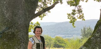 FOUR WELSH COMPANIES WIN NATIONAL BUSINESS AWARDS The Ladies Working Dog Group 1 scaled