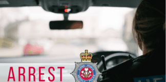 Bute Park assault: Further arrest arrest 2