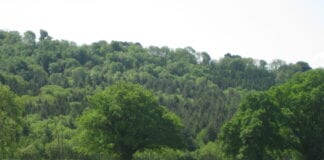 Ffermwyr yn dweud bod bioamrywiaeth ar y fferm yn mynd law yn llaw â chynhyrchu bwyd bioamrywiaeth