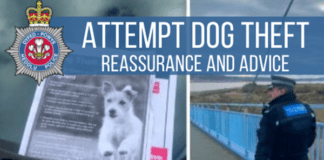 Police reassure attempt to steal walker’s dog was isolated incident bynea patrol soh new