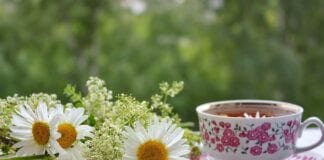 5 Herbal Teas To Improve Health & Wellness chal1