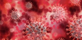 Ymchwil fyd-eang i effaith ymateb llywodraethau a systemau iechyd i Covid-19 ar bobl ddiamddiffyn corona 5174671 scaled