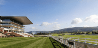Four favourites it is hard to look past at the upcoming Cheltenham Festival image
