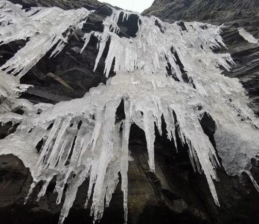 winter on the beach winter scaled