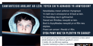 Camfanteisio Arblant Ar-Lein: Ydych Chi’n AdnabodYr Arwyddion? 158768149 3722399044462040 8962373762860009913 n
