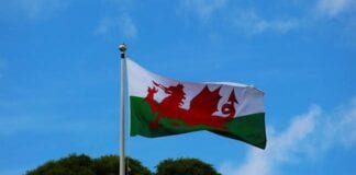 St David’s Day celebrations at Hywel Dda 278313290.gallery