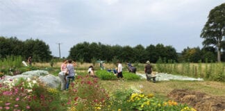 Composting, planting and solar panel projects supported by Park Authority’s Sustainable Development Fund ClynfywWeb