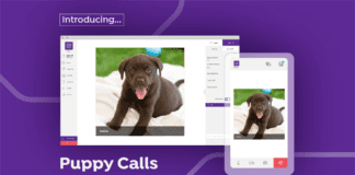 company launches new service guaranteed to make any virtual business meeting 100000 times better (and yes it does include dogs 🐶) Picture2