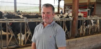 Rhoi sylw i iechyd traed yn werth £25,000 y flwyddyn i fferm laeth yng Nghymru Russell Morgan with his dairy cows at Graig Olway farm 1 scaled