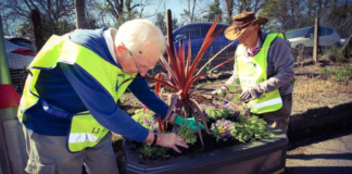 £100,000 grant awarded to enhance biodiversity at railway stations and in communities b5f7f88b73ae4e20ad962052cd2c90ca