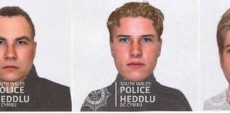 Attempt robbery of a dog owner: Investigation update dog attempt robbery efits