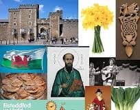 Police Celebrate St David’s Day With a BSL Performance of Welsh Anthem download 2021 03 01T105603.272