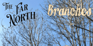 New single release – THE FAR NORTH – ‘Branches’ – Released on Friday 26th March 2021 far